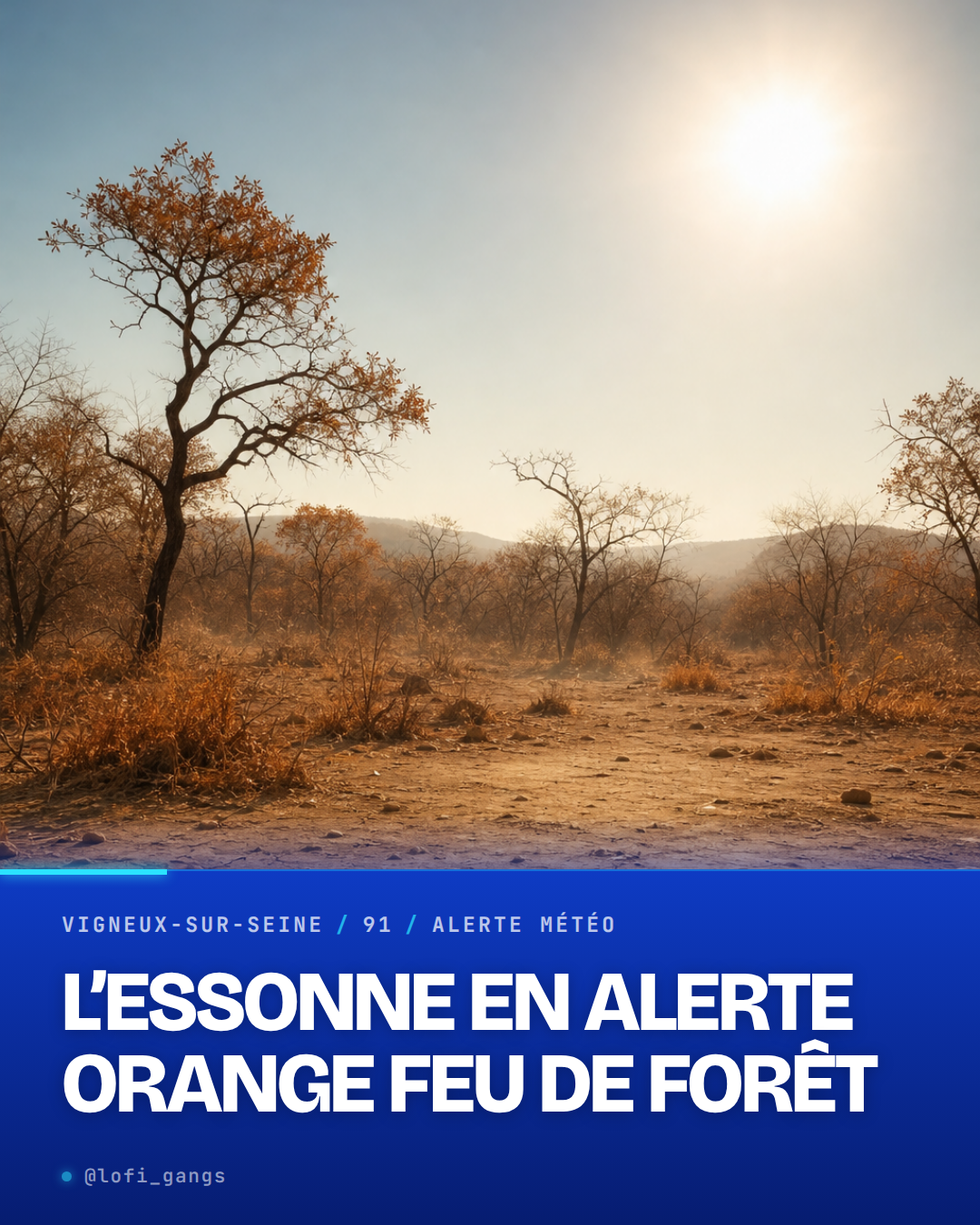 L'Essonne passe en vigilance orange pour risque élevé de feu de forêt cet été